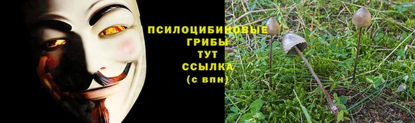 первитин Киреевск
